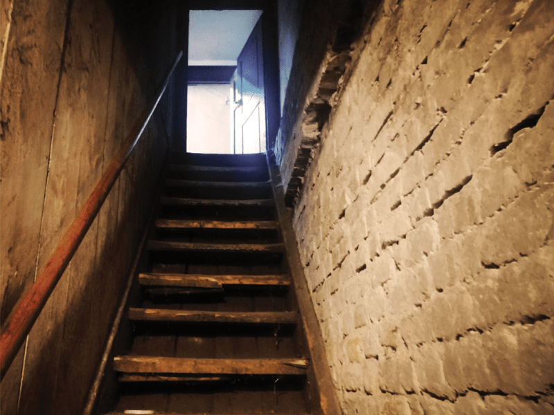 In the Basement